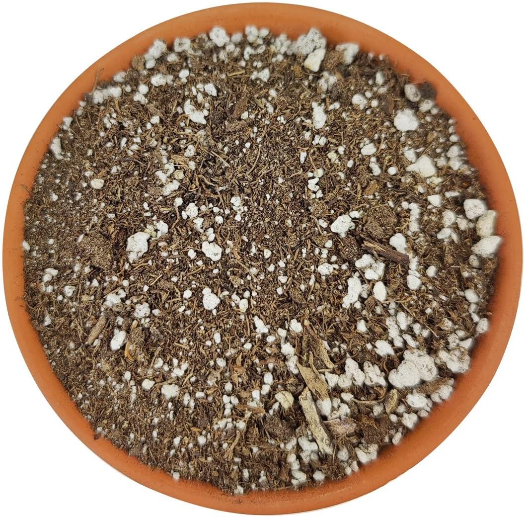 CACTUS MIX POTTING SOIL 1cf
