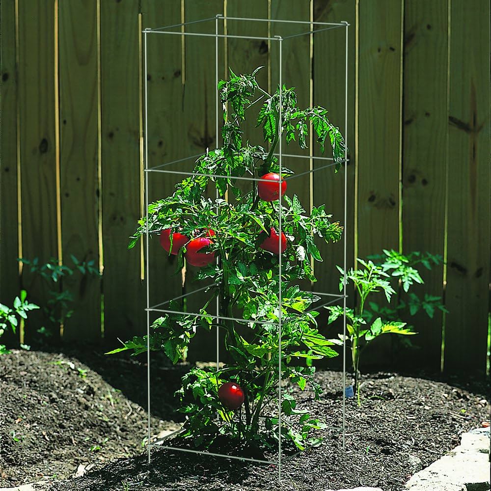 HEAVY DUTY TOMATO CAGE GREEN 47in