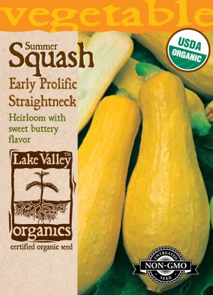 SEEDS 329 ORGANIC