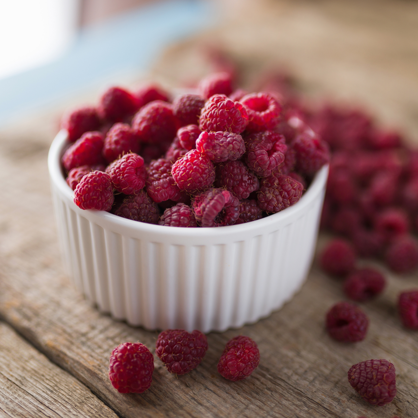 SUPERLICIOUS RASPBERRY 2gal