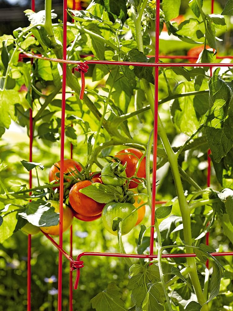 HEAVY DUTY TOMATO CAGE GREEN 47in