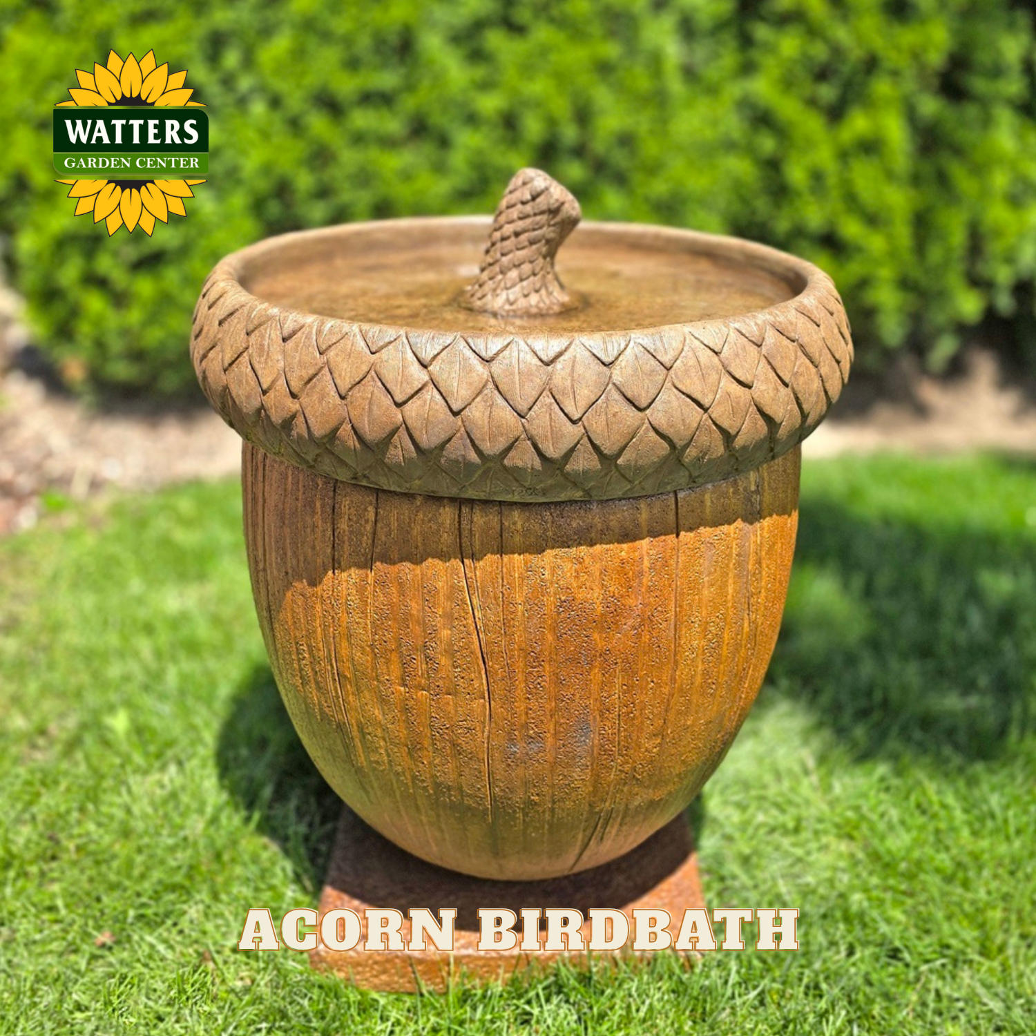 Acorn-shaped birdbath on grass with Watters Garden Center logo.