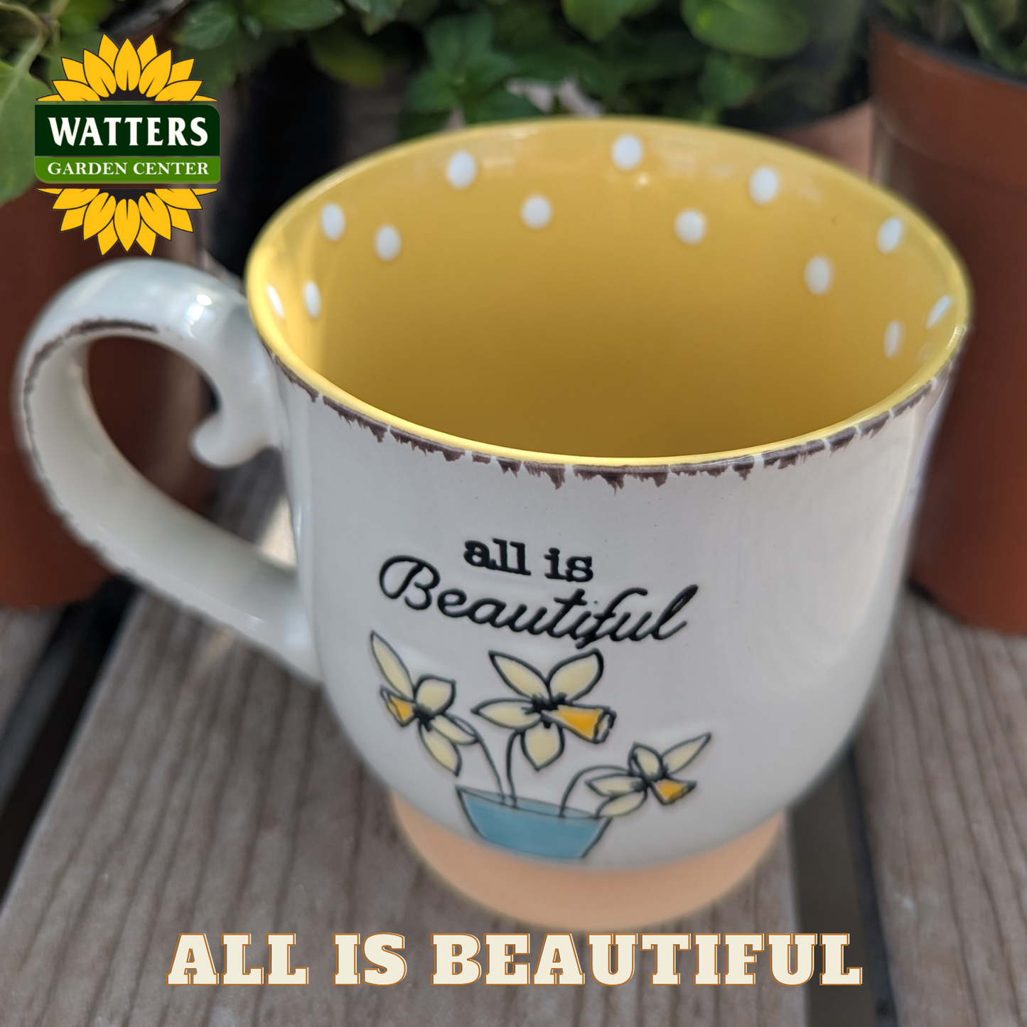 Mug with 'all is Beautiful' text and polka dot interior, Watters Garden Center logo visible.