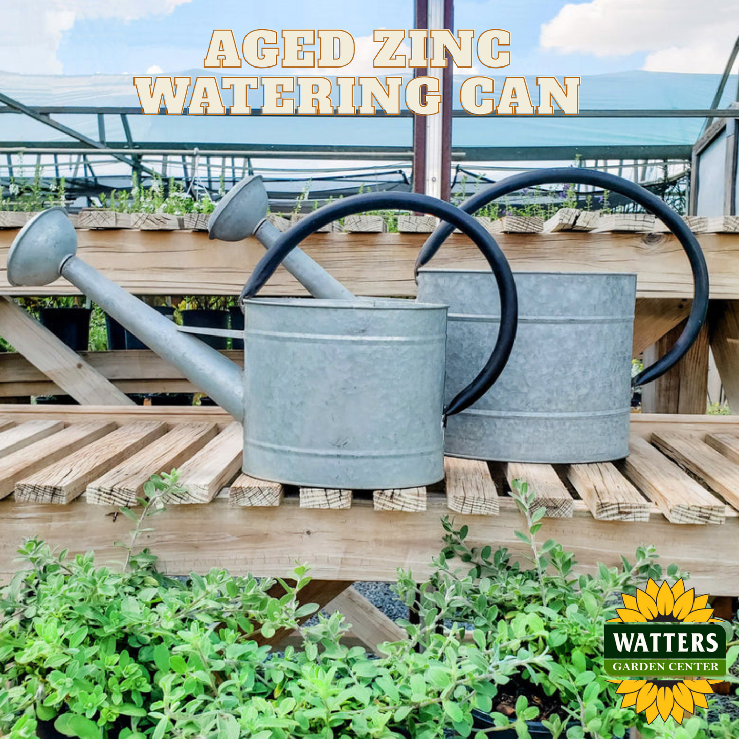 Aged Zinc Watering Can - 1.3 Gal