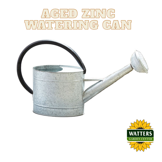 Aged Zinc Watering Can - 1.3 Gal