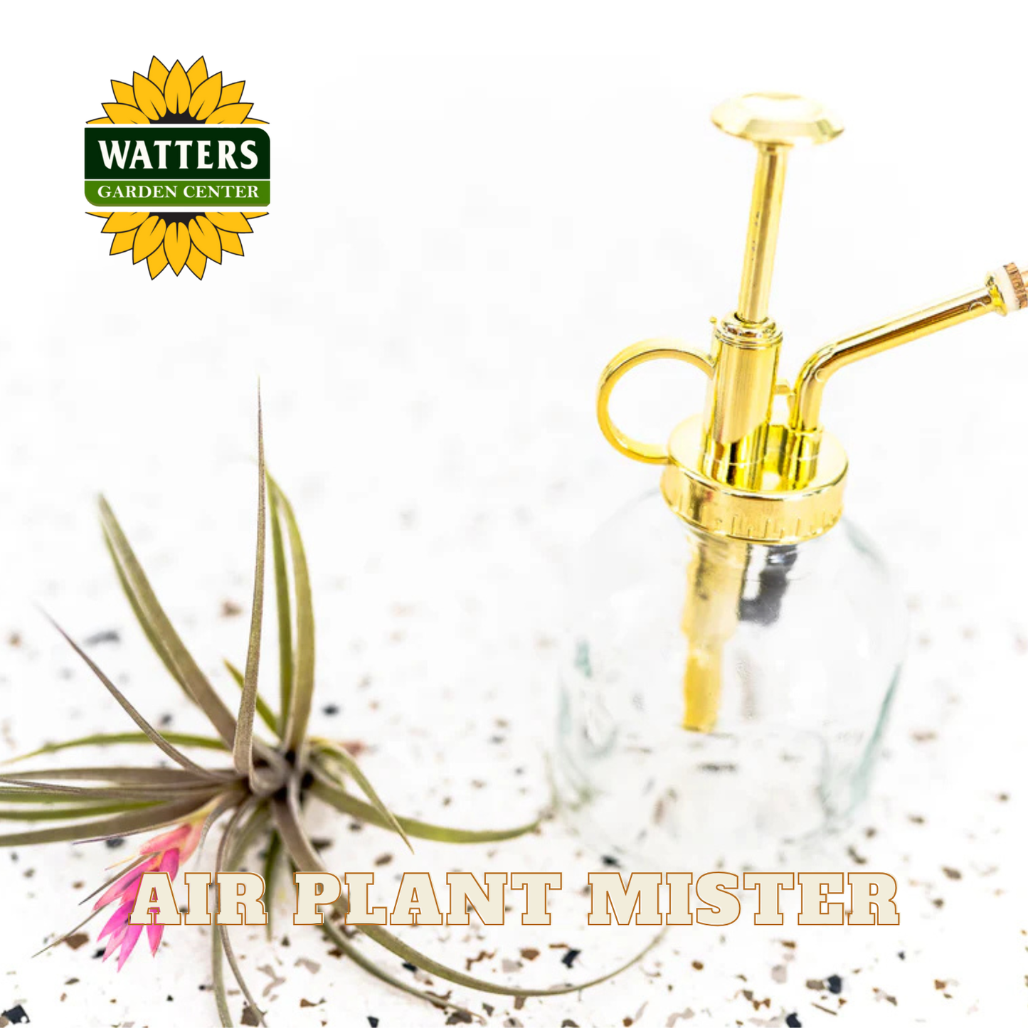 Gold air plant mister with Watters Garden Center logo and air plant on a white background