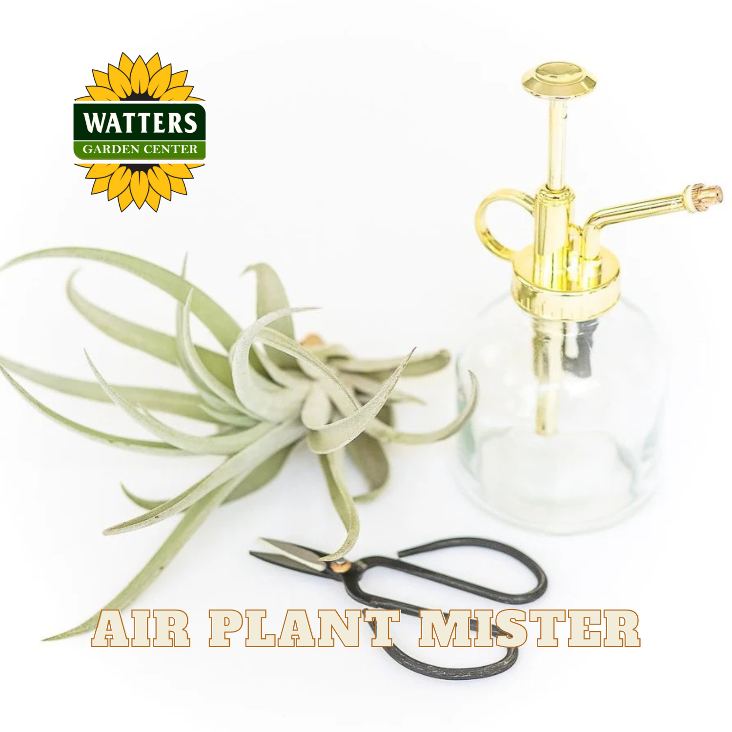 Air plant mister with air plant and scissors on a white background, featuring Watters Garden Center logo.