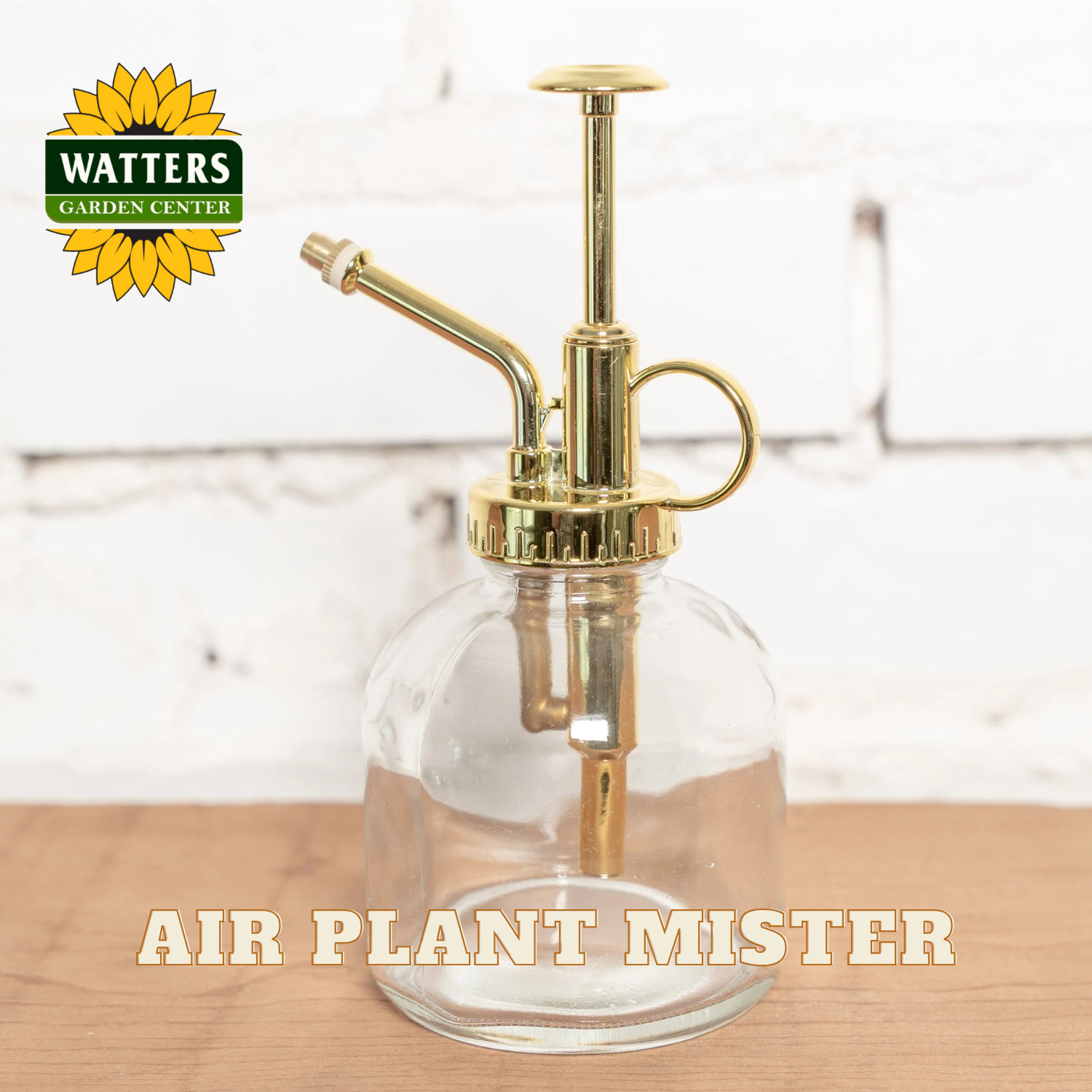 Gold air plant mister on a wooden surface with Watters Garden Center logo.