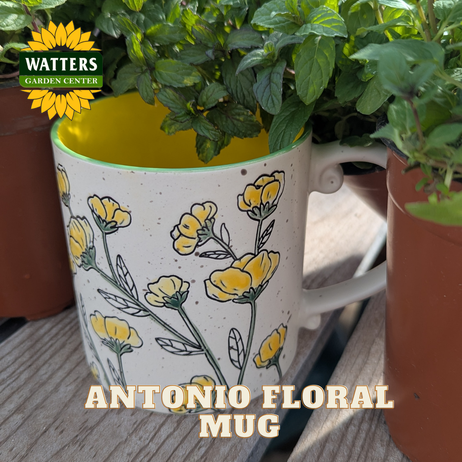 Mug with yellow floral design and green plant inside, Watters Garden Center logo visible
