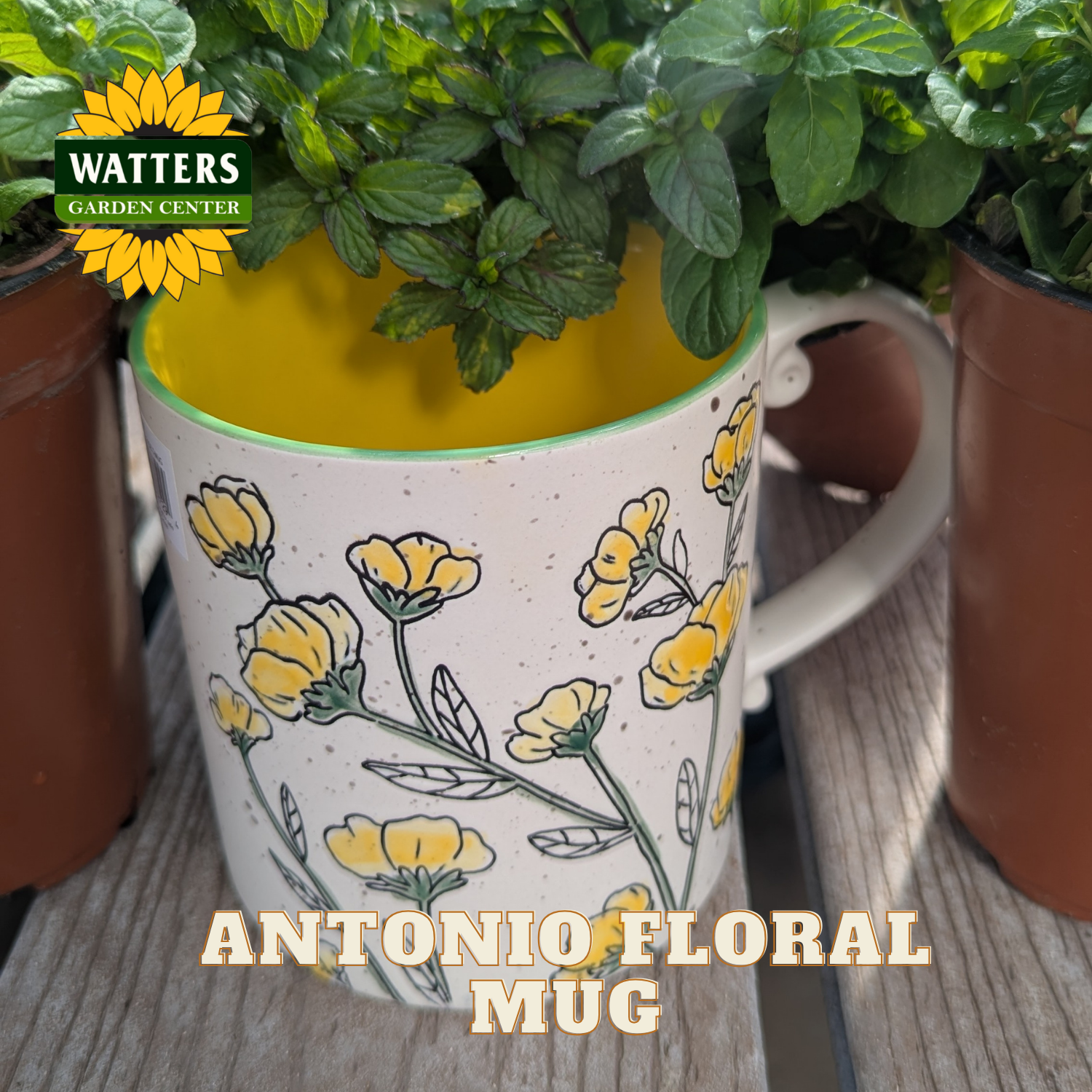 Floral mug with yellow flowers on a wooden surface, featuring Watters Garden Center logo.