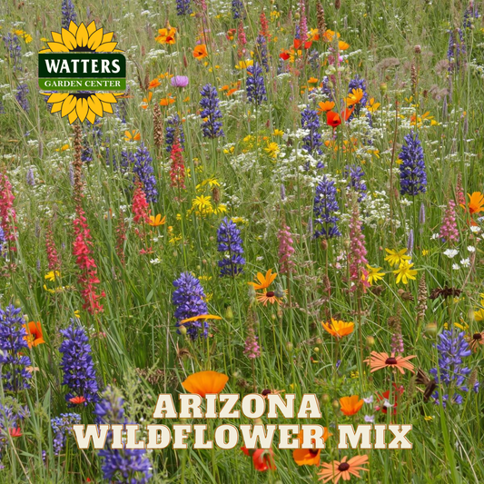 Field of Arizona Wildflowers with Watters logo and "Arizona Wildflower Mix" text.