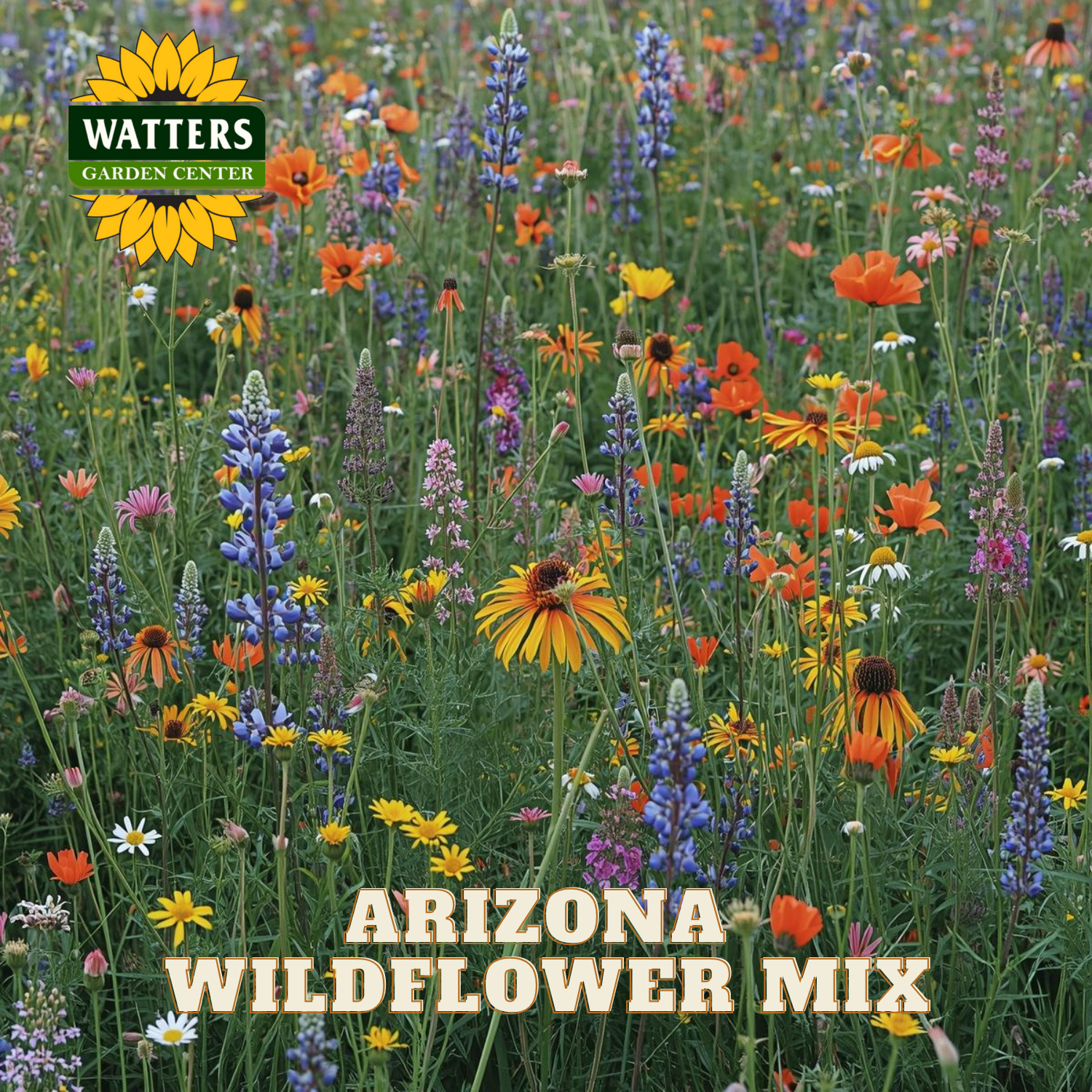 missouri wildflowers seeds ARIZONA WILDFLOWER MIX – Watters Garden Center