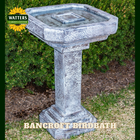 Grey stone square birdbath in the garden.