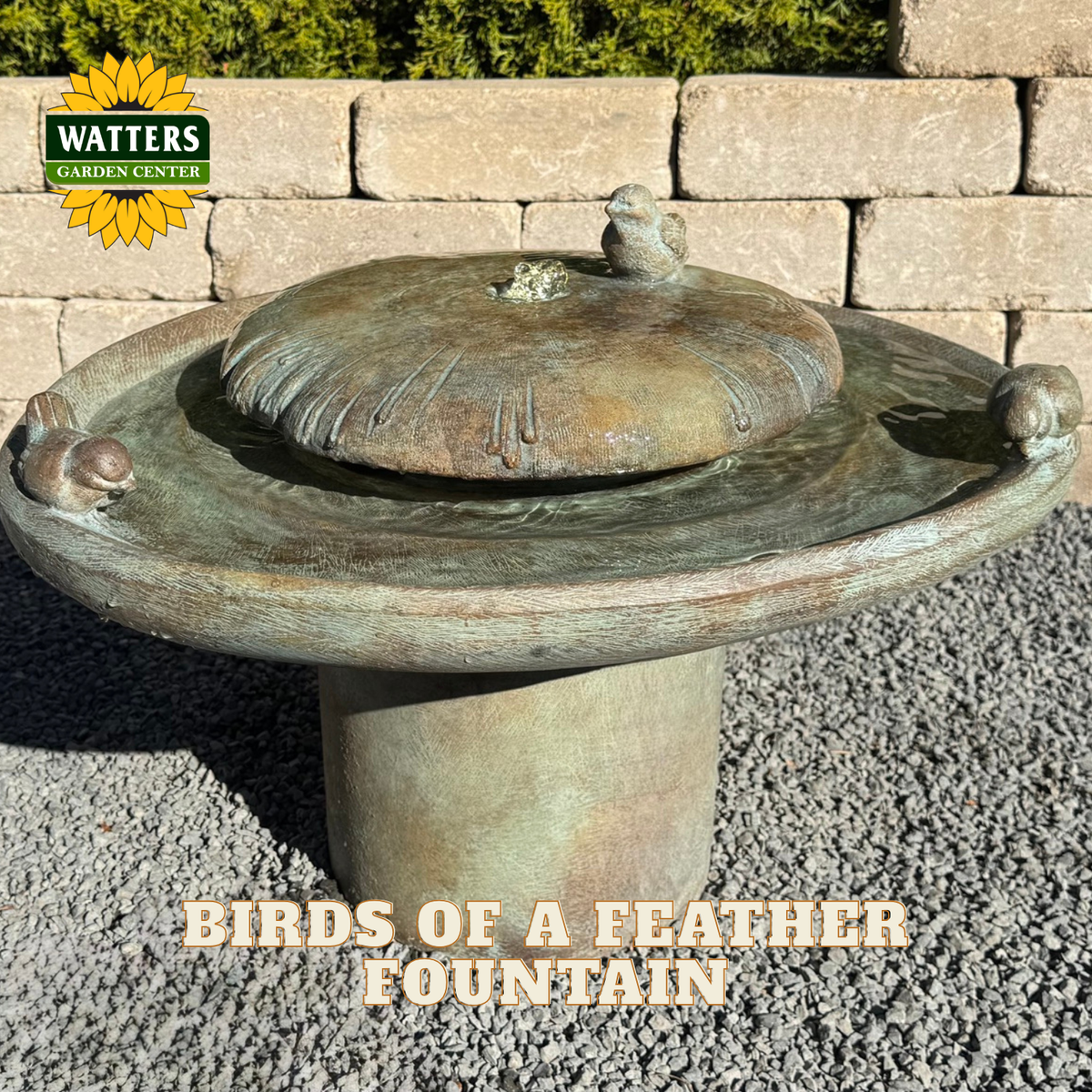 A bronze-finished birds of a feather garden fountain with a central pedestal and small bird sculptures on the rim, shown outdoors on gravel in front of a stone wall. The Watters Garden Center logo appears in the top-left corner, and the text 'BIRDS OF A FEATHER FOUNTAIN' is overlaid at the bottom.