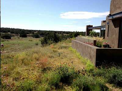 NATIVE REVEGETATION GRASS SEED