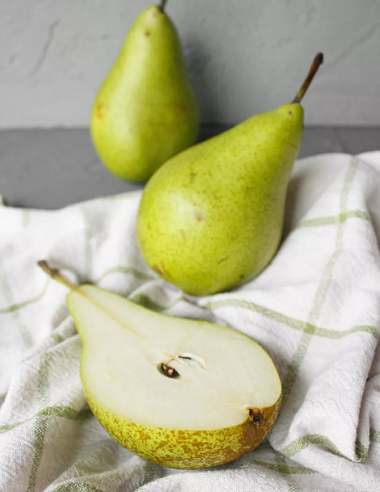 BARTLETT PEAR TREE 5gal