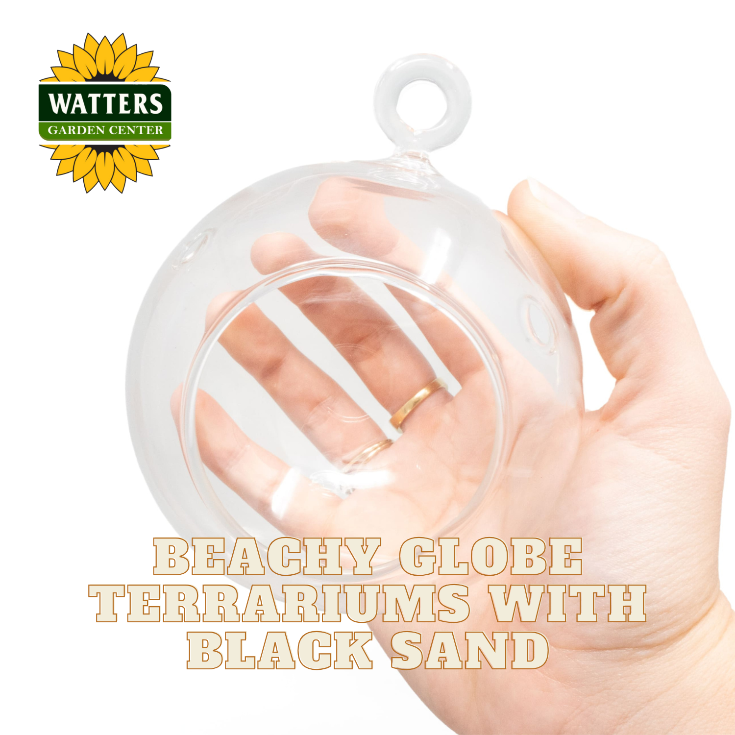 Hand holding a clear terrarium with text about beachy globe terrariums and Watters Garden Center logo.