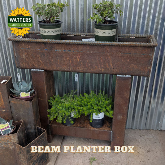 Beam planter box in front of metal wall with Watters branding.