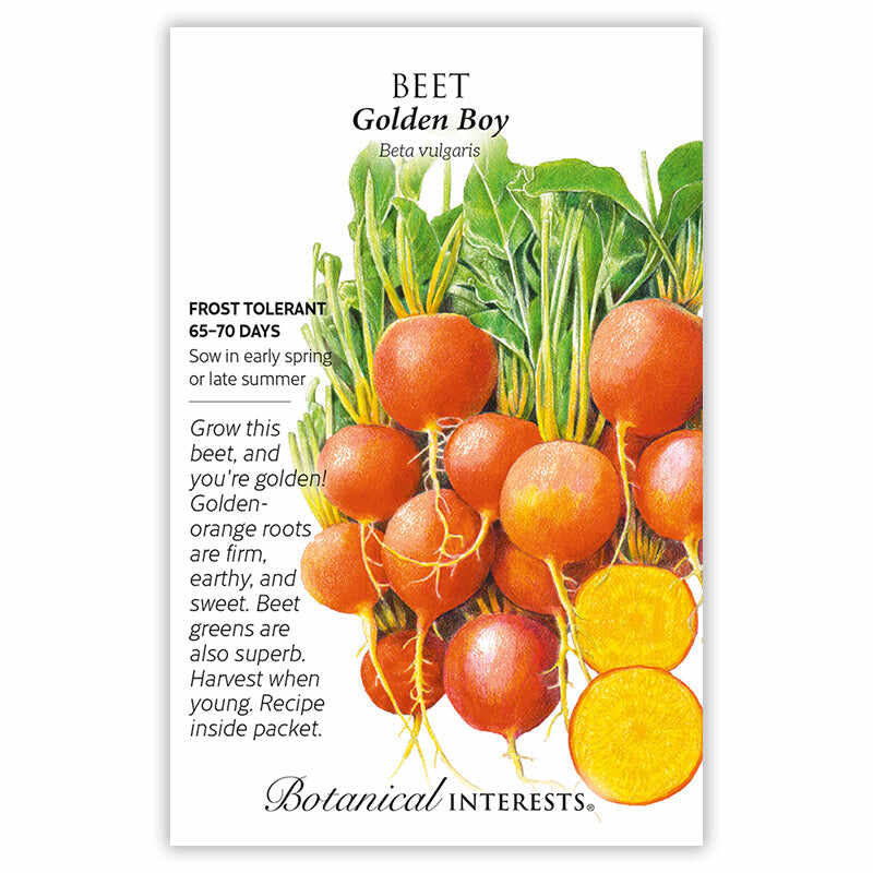SEEDS 349