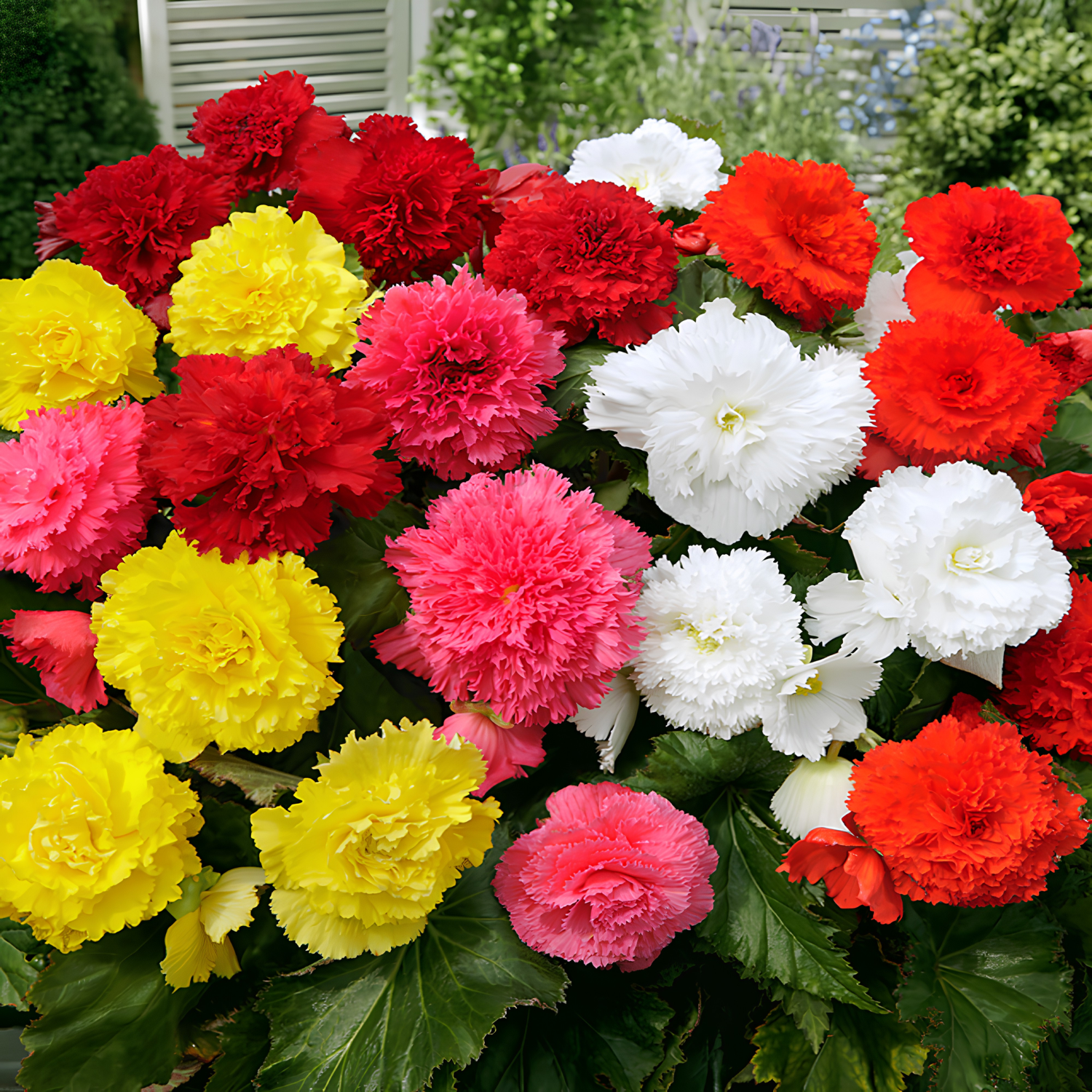 Bouquet of red, yellow, pink, and white flowers with green leaves.