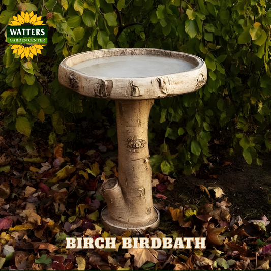 Birch birdbath with Watters Garden Center logo against a leafy background