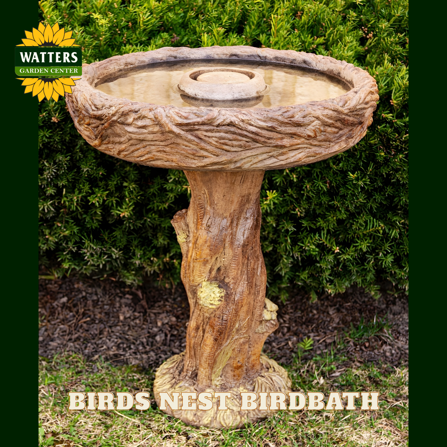 Birds Nest Birdbath with Watters Garden Center logo on a green background