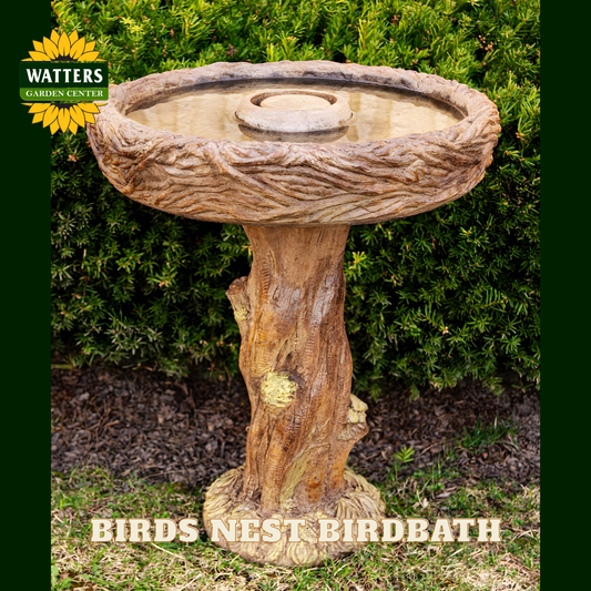 Birds Nest Birdbath with Watters Garden Center logo on a green background