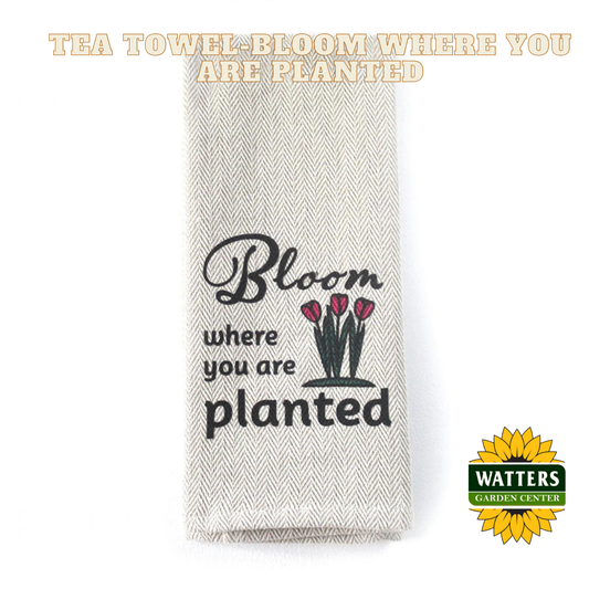 Tea Towel - Bloom Where you are Planted