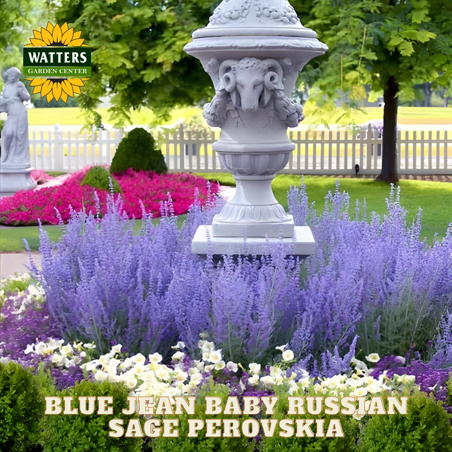 Decorative garden urn with lavender and other flowers in a garden setting, featuring Watters Garden Center branding.