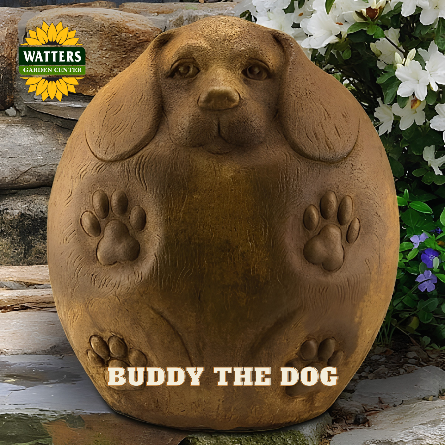 A round, dog-shaped garden statue with a realistic dachshund face, ears, paw prints, and the text 'BUDDY THE DOG' at the bottom. The statue is shown outdoors in a garden setting with a Watters Garden Center logo in the top left corner.