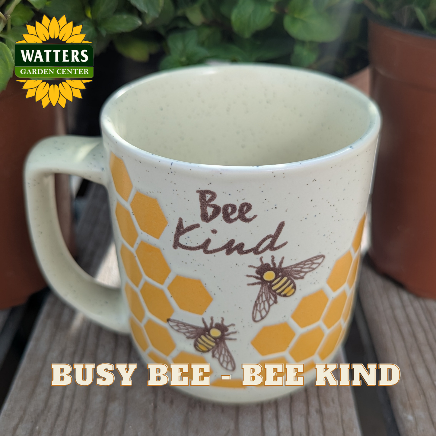 Mug with 'Bee Kind' and honeycomb design on a wooden surface, Watters Garden Center logo visible.