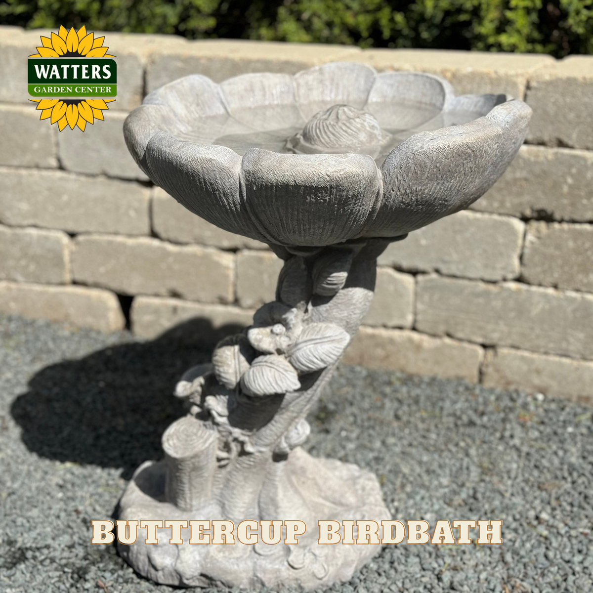 BUTTERCUP BIRDBATH
