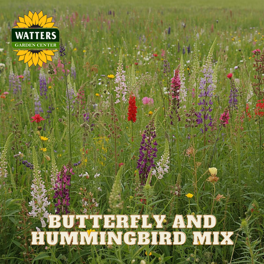 Field of wildflowers with Watters Garden Center logo and text about butterfly and hummingbird mix.