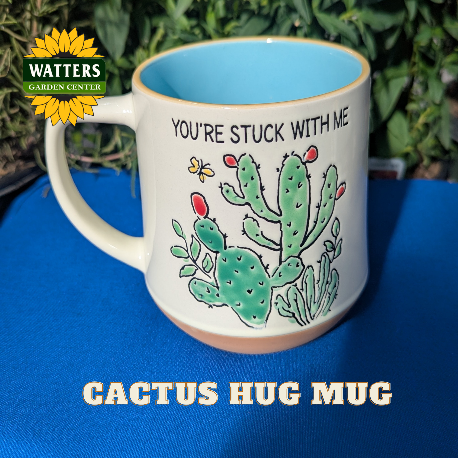 Cactus-themed mug with text on a blue surface, featuring Watters Garden Center logo.