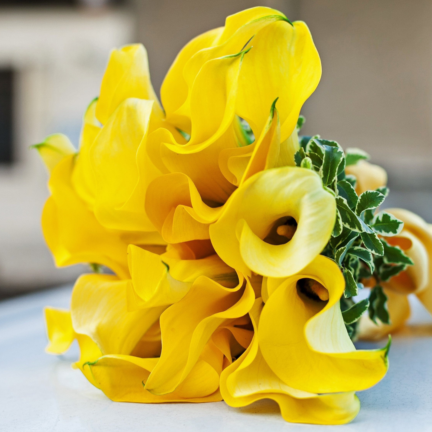 Bouquet of yellow flowers on a light surface with a blurred background