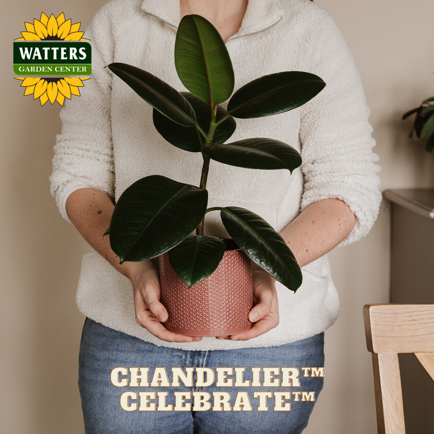 Person holding a potted plant with Watters Garden Center branding.