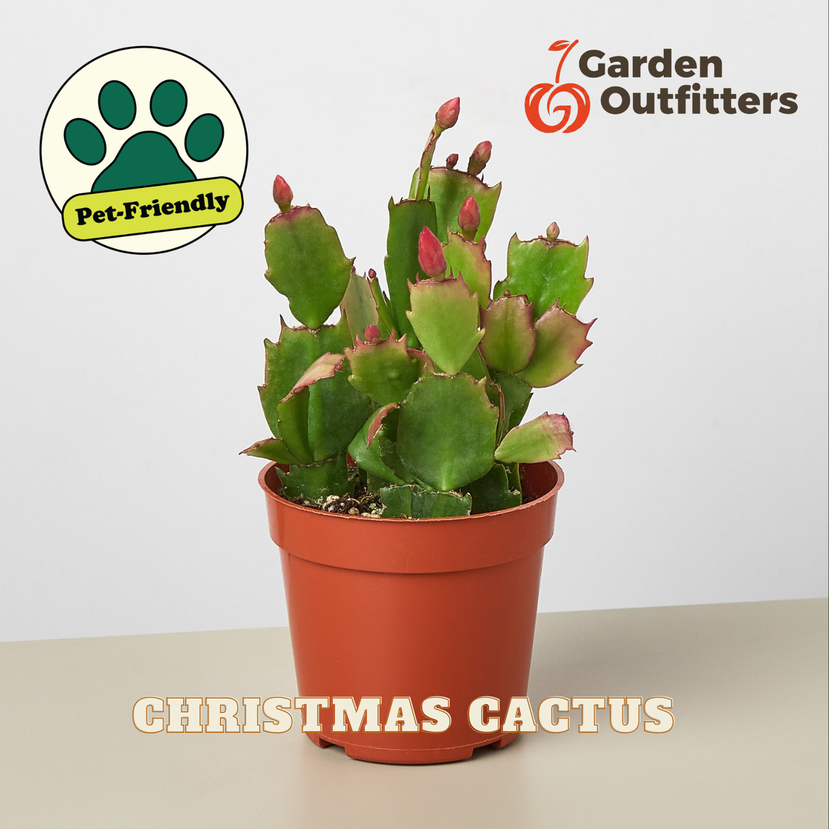 A potted Christmas Cactus (Schlumbergera) plant with green segmented leaves and pinkish-red flower buds, in a terracotta-colored plastic pot. The image features 'Garden Outfitters' branding, a 'Pet-Friendly' badge, and 'CHRISTMAS CACTUS' text overlays on a neutral light gray background.