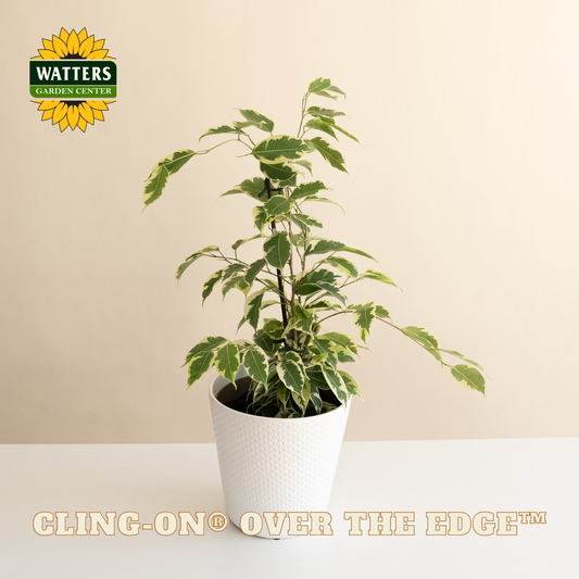 Cling-On® Over the Edge™