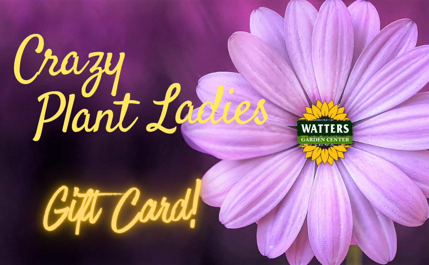 Watters Garden Center Gift Card