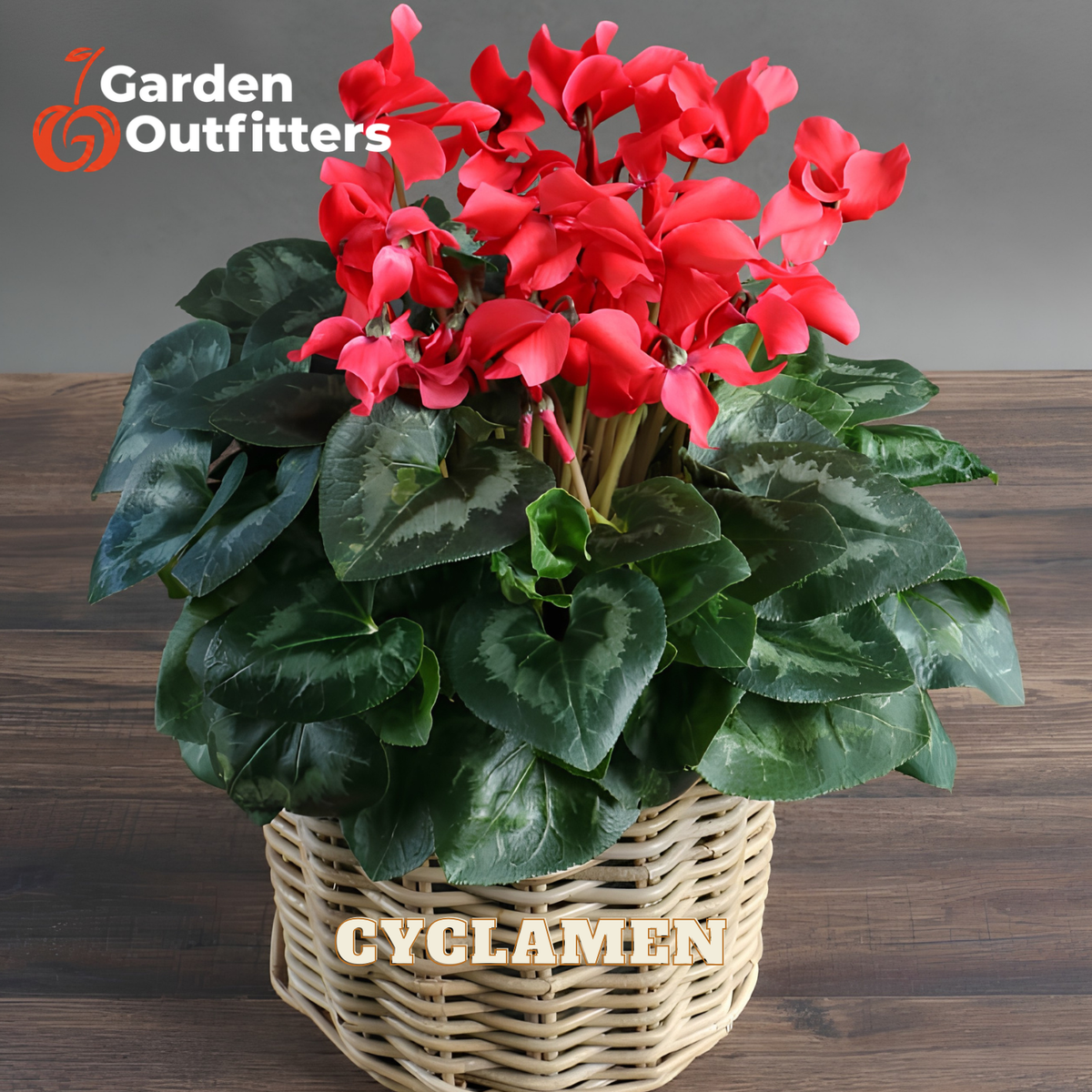 A potted artificial cyclamen plant with bright red flowers and dark green patterned leaves, displayed in a woven wicker basket on a wooden surface. The Garden Outfitters logo is visible in the top left corner, and 'CYCLAMEN' is written on the front of the basket.
