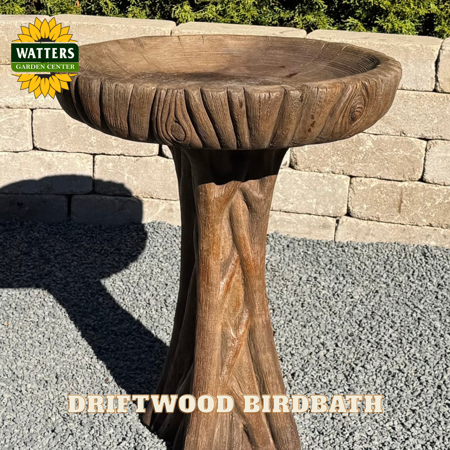 Driftwood-style birdbath with Watters Garden Center logo in the corner.