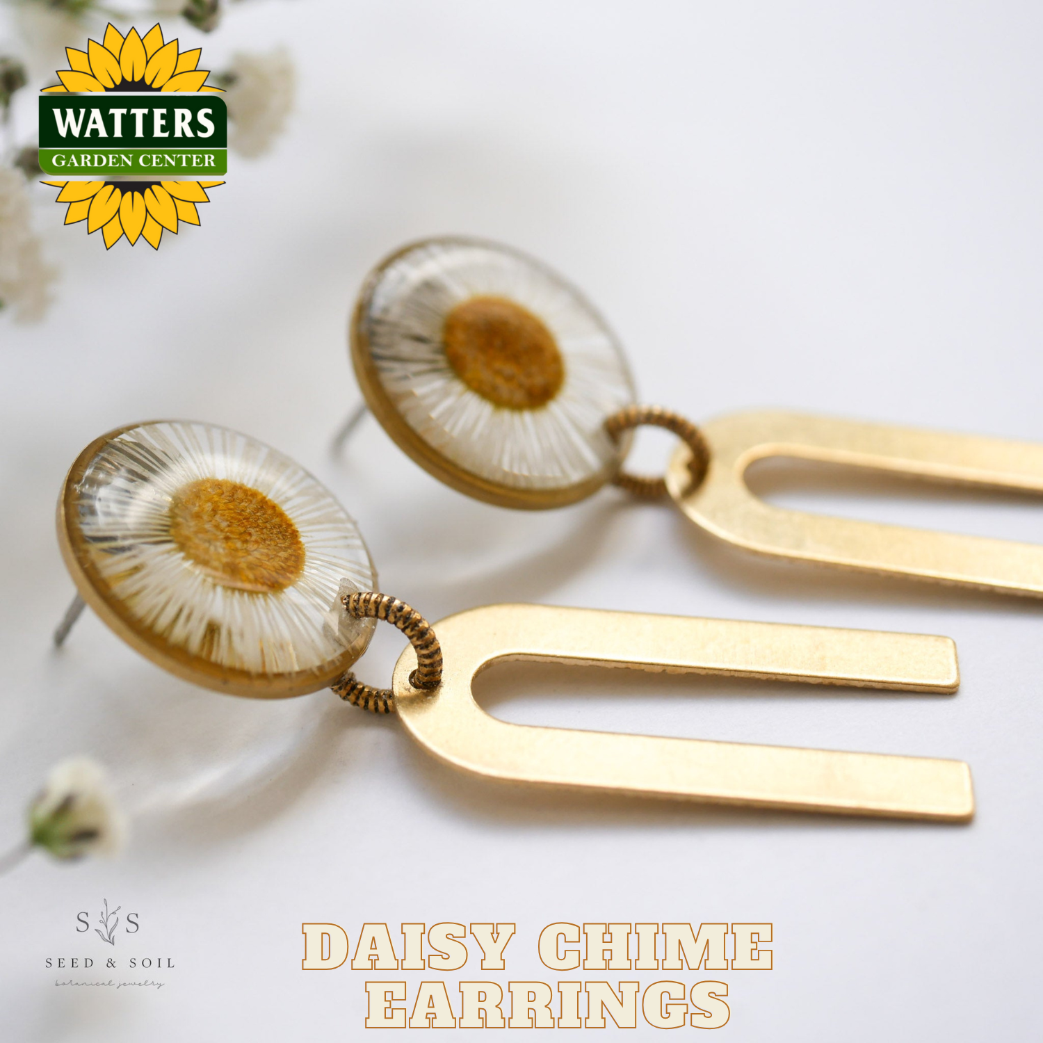 Gold daisy chime earrings with Watters Garden Center branding on a light background.