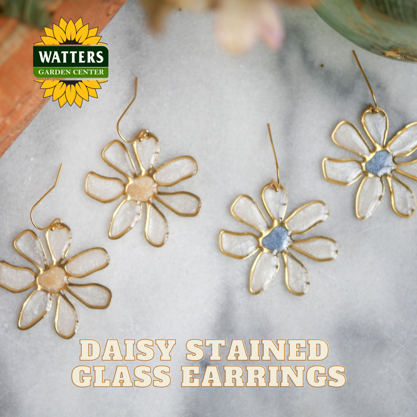 Daisy-stained glass earrings on a marble surface with Watters Garden Center logo.