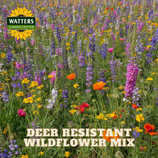 A field of wildflowers showing blooms of bright pink, yellow, orange and purple with the Watters Garden Center logo and the text "Deer Resistant Wildflower Mix" overlaying the image.
