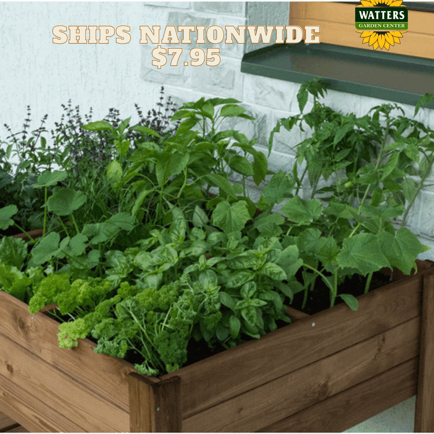 Sturdy Raised Bed with Shelf