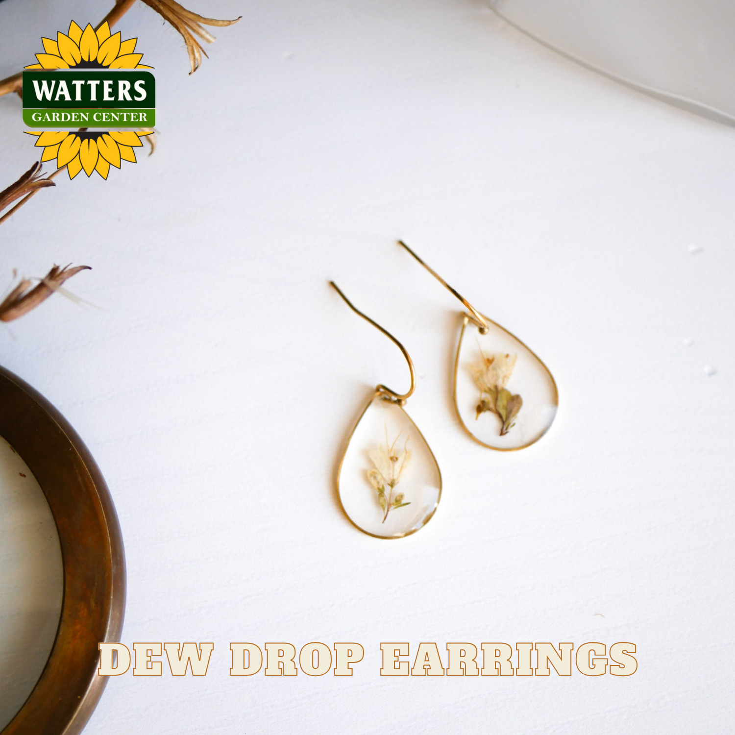 Gold dew drop earrings on a white surface with Watters Garden Center branding.