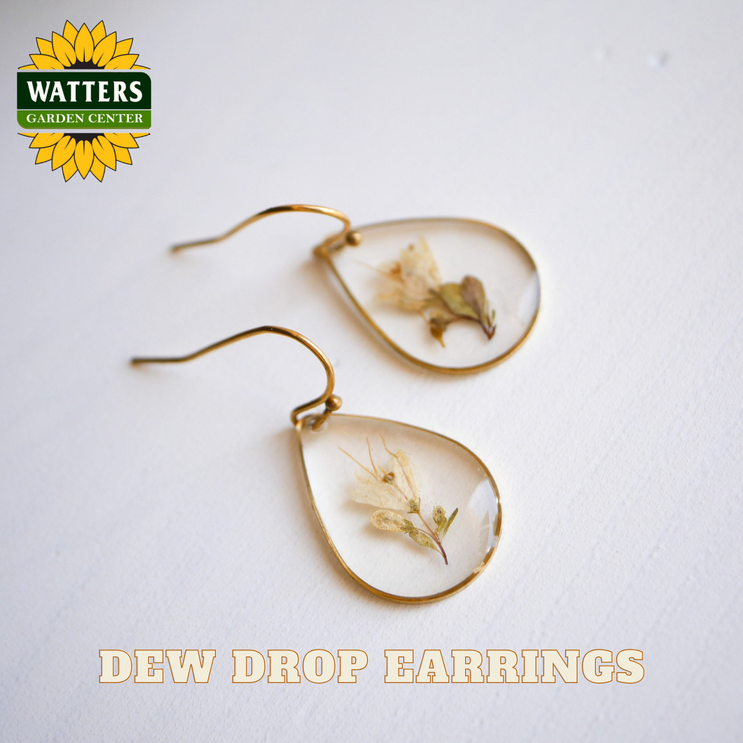 Teardrop-shaped earrings with dried flowers on a light background, featuring Watters Garden Center logo.
