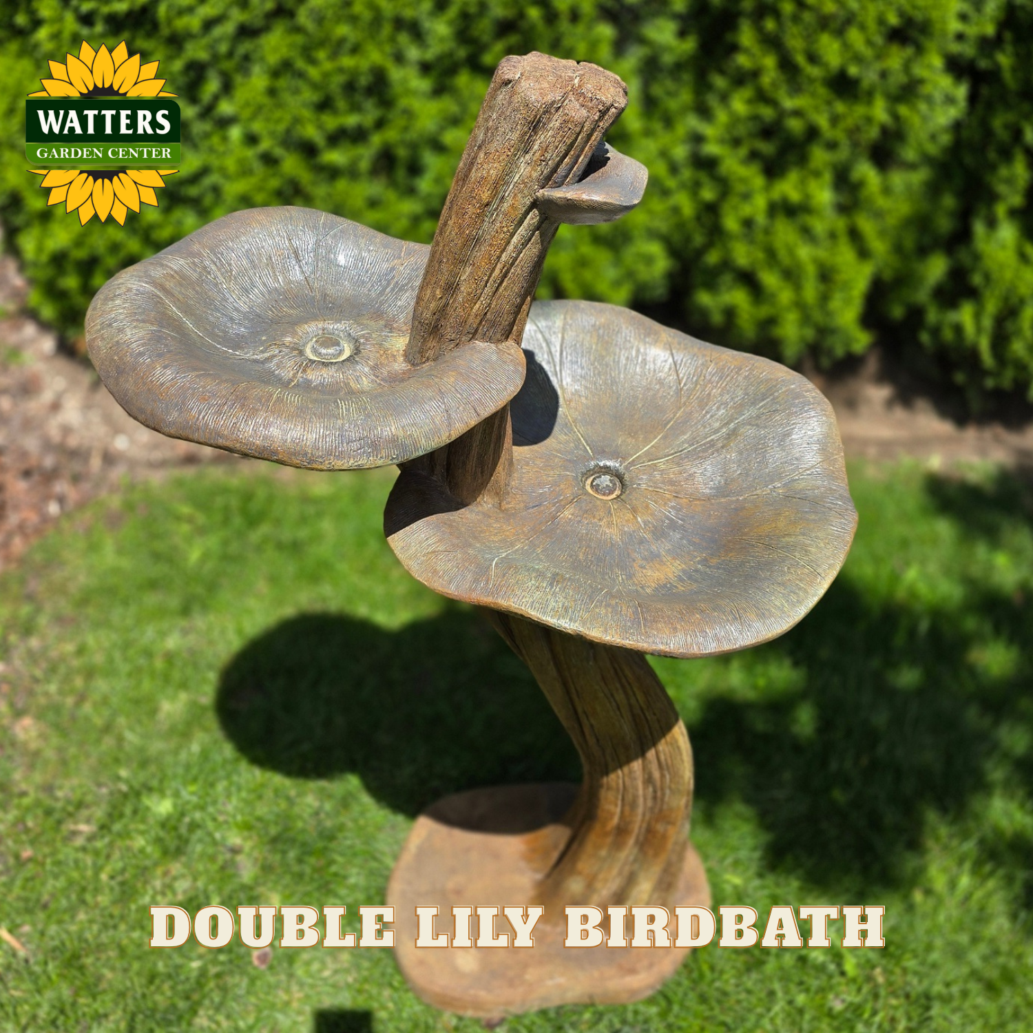 Double Lily Birdbath with Watters Garden Center logo on a grassy background