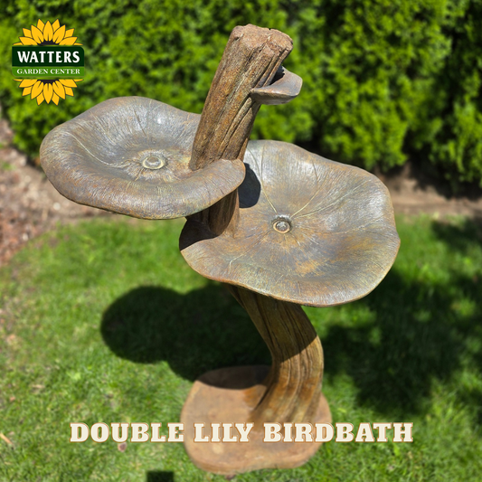 Double Lily Birdbath with Watters Garden Center logo on a grassy background