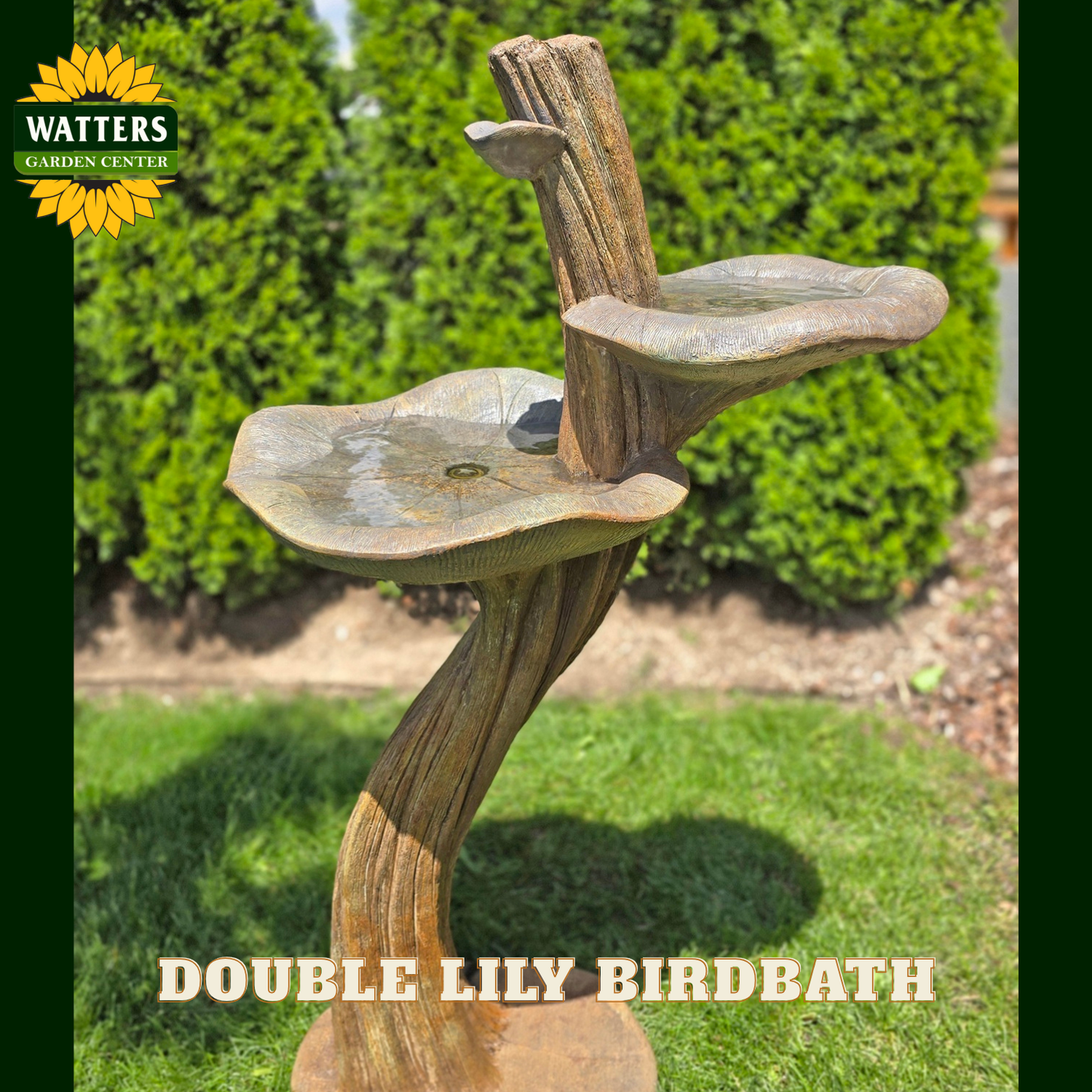 Double Lily Birdbath with Watters Garden Center logo on a grassy background